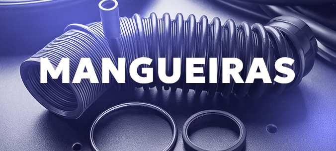 Margueiras